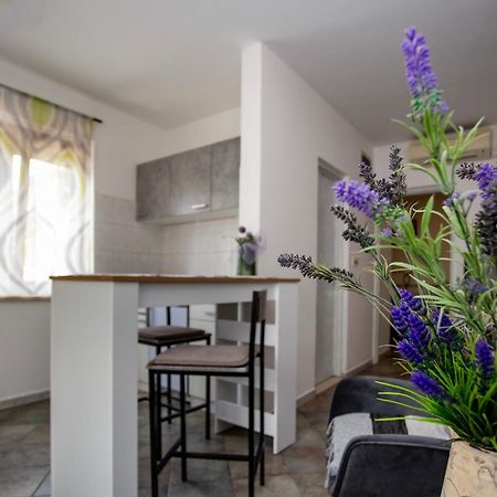 רוביני Apartments Ina & Ika מראה חיצוני תמונה
